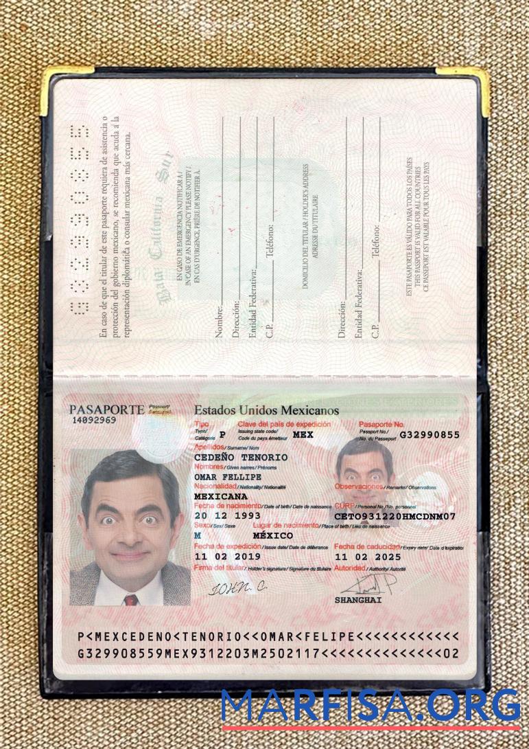 Printable Mexico passport 2017 present photolook download for verification